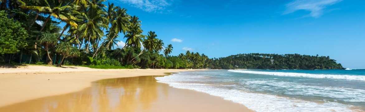 Reis på ferie til Sri Lanka 