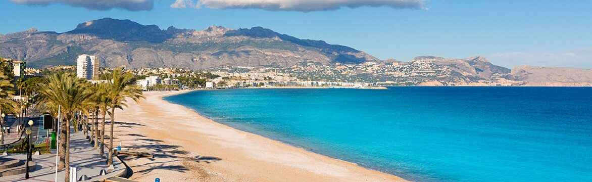 Semester Albir