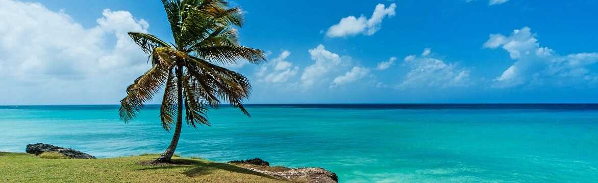 Reis på ferie til Barbados 