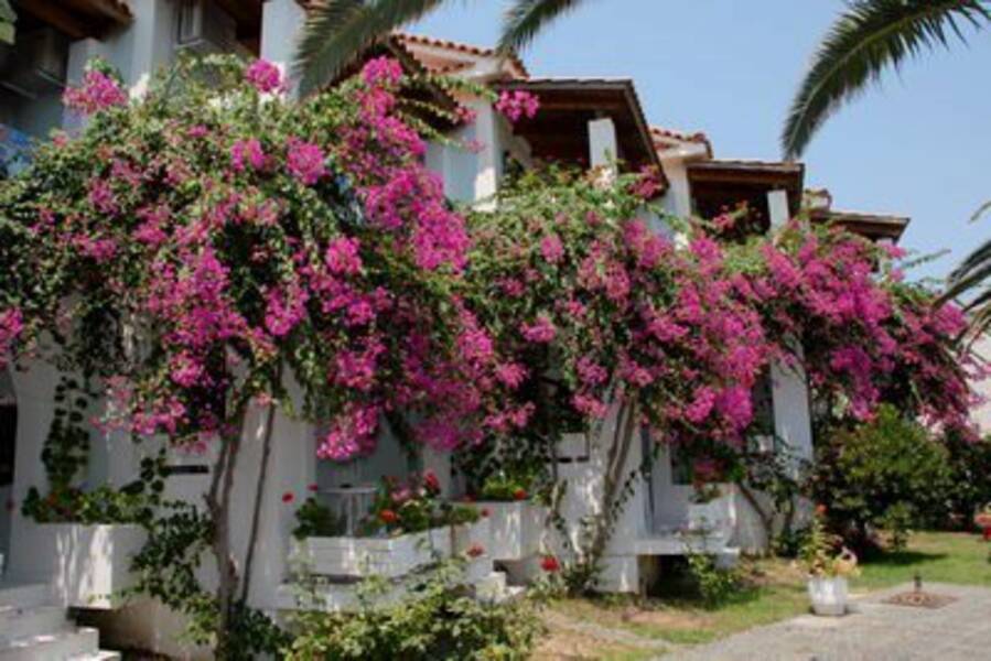paradise hotel zante